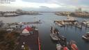 ./images/victoria/wharf/20190924/wharf20190924_072453.jpg
