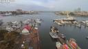 ./images/victoria/wharf/20190924/wharf20190924_104457.jpg