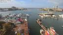 ./images/victoria/wharf/20190924/wharf20190924_131950.jpg