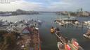./images/victoria/wharf/20190924/wharf20190924_142451.jpg