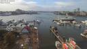 ./images/victoria/wharf/20190924/wharf20190924_142954.jpg