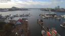 ./images/victoria/wharf/20190924/wharf20190924_144956.jpg