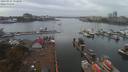 ./images/victoria/wharf/20190925/wharf20190925_152949.jpg