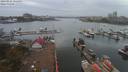 ./images/victoria/wharf/20190925/wharf20190925_154458.jpg