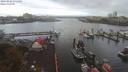 ./images/victoria/wharf/20190926/wharf20190926_074452.jpg