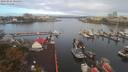 ./images/victoria/wharf/20190926/wharf20190926_084459.jpg