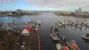 ./images/victoria/wharf/20190926/wharf20190926_094455.jpg