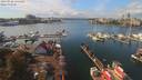 ./images/victoria/wharf/20190926/wharf20190926_134458.jpg