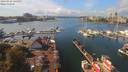 ./images/victoria/wharf/20190926/wharf20190926_134951.jpg