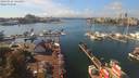 ./images/victoria/wharf/20190926/wharf20190926_141456.jpg