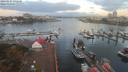 ./images/victoria/wharf/20190927/wharf20190927_071949.jpg