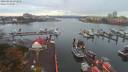 ./images/victoria/wharf/20190928/wharf20190928_071956.jpg