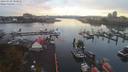./images/victoria/wharf/20190928/wharf20190928_080958.jpg