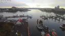 ./images/victoria/wharf/20190928/wharf20190928_083957.jpg