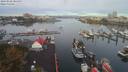 ./images/victoria/wharf/20190928/wharf20190928_085959.jpg