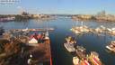 ./images/victoria/wharf/20190928/wharf20190928_104950.jpg