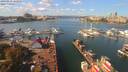 ./images/victoria/wharf/20190928/wharf20190928_122954.jpg