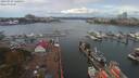 ./images/victoria/wharf/20190929/wharf20190929_120952.jpg