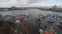 ./images/victoria/wharf/20190929/wharf20190929_122955.jpg