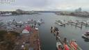 ./images/victoria/wharf/20190929/wharf20190929_131958.jpg