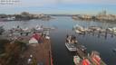 ./images/victoria/wharf/20191001/wharf20191001_112458.jpg