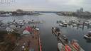 ./images/victoria/wharf/20191002/wharf20191002_132948.jpg