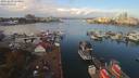 ./images/victoria/wharf/20191003/wharf20191003_114955.jpg