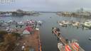 ./images/victoria/wharf/20191003/wharf20191003_130957.jpg