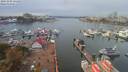 ./images/victoria/wharf/20191003/wharf20191003_131450.jpg