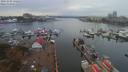 ./images/victoria/wharf/20191003/wharf20191003_132455.jpg
