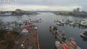 ./images/victoria/wharf/20191003/wharf20191003_133952.jpg