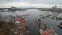 ./images/victoria/wharf/20191003/wharf20191003_134957.jpg