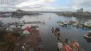 ./images/victoria/wharf/20191003/wharf20191003_142958.jpg