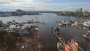 ./images/victoria/wharf/20191003/wharf20191003_151954.jpg