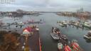 ./images/victoria/wharf/20191004/wharf20191004_072957.jpg
