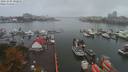 ./images/victoria/wharf/20191005/wharf20191005_092955.jpg