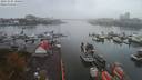 ./images/victoria/wharf/20191005/wharf20191005_100457.jpg