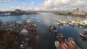 ./images/victoria/wharf/20191005/wharf20191005_121951.jpg