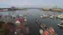 ./images/victoria/wharf/20191006/wharf20191006_104952.jpg