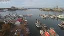 ./images/victoria/wharf/20191006/wharf20191006_114950.jpg