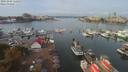 ./images/victoria/wharf/20191006/wharf20191006_115453.jpg