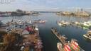./images/victoria/wharf/20191006/wharf20191006_122953.jpg