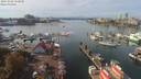 ./images/victoria/wharf/20191006/wharf20191006_132950.jpg