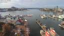 ./images/victoria/wharf/20191006/wharf20191006_134952.jpg