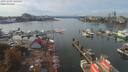 ./images/victoria/wharf/20191006/wharf20191006_135455.jpg
