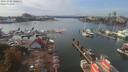 ./images/victoria/wharf/20191006/wharf20191006_140953.jpg
