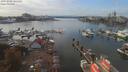 ./images/victoria/wharf/20191006/wharf20191006_141457.jpg