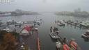 ./images/victoria/wharf/20191007/wharf20191007_112458.jpg