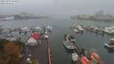./images/victoria/wharf/20191007/wharf20191007_121455.jpg