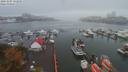 ./images/victoria/wharf/20191007/wharf20191007_121957.jpg